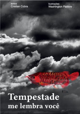 Capa do livro Tempestade Me Lembra Você