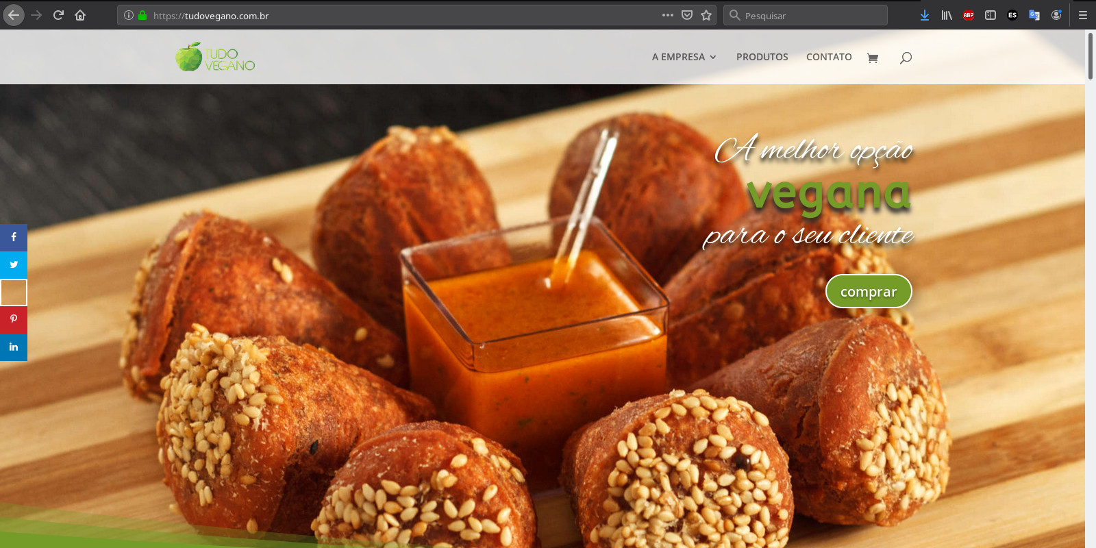 Print do site Tudo Vegano